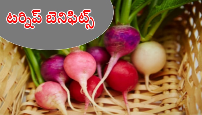 Turnips Benefits: టర్నిప్ కూరగాయతో అంతులేని ఆరోగ్యం మీ సొంతం..!