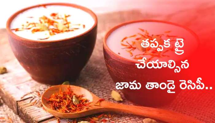 Mahashivratri Recipe: మహాశివరాత్రి రోజు తప్పక ట్రై చేయాల్సిన జామ తాండై రెసిపీ..