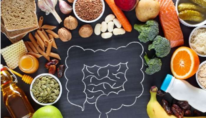 Gut Health: ఈ చిట్కాలు పాటిస్తే మీ ప్రేవులు ఫుల్ క్లీన్, మలబద్ధకం, గ్యాస్ అన్ని సమస్యలు మాయం