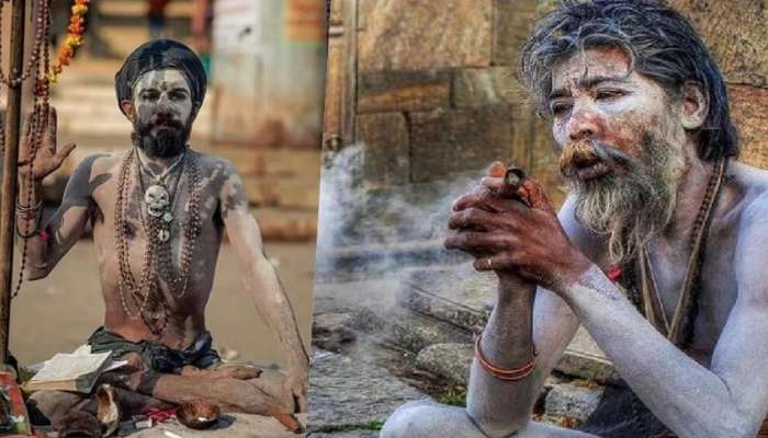 Aghoris Dark Secrets: అఘోరీల చీకటి జీవితం ఇదే, శవాలు తినడం, మృతదేహాలతో కోర్కెలు తీర్చుకోవడం చూస్తే మతులు పోవల్సిందే