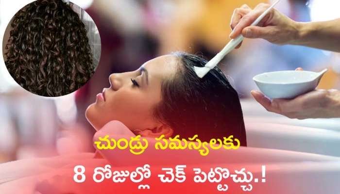 Hair Care Tips: ఎలాంటి ఖర్చు లేకుండా చుండ్రు సమస్యలకు 8 రోజుల్లో చెక్‌ పెట్టొచ్చు.!