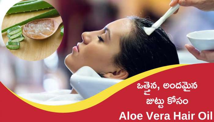 Aloe Vera Hair Oil: ఒత్తైన, అందమైన జుట్టు నయా పైసా ఖర్చులేకుండా Aloe Vera Hair Oilతో పొందొచ్చు..