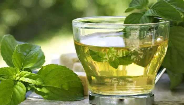 Green Tea Tips: గ్రీన్ టీ ఏ సమయంలో తీసుకుంటే మంచిదో తెలుసా