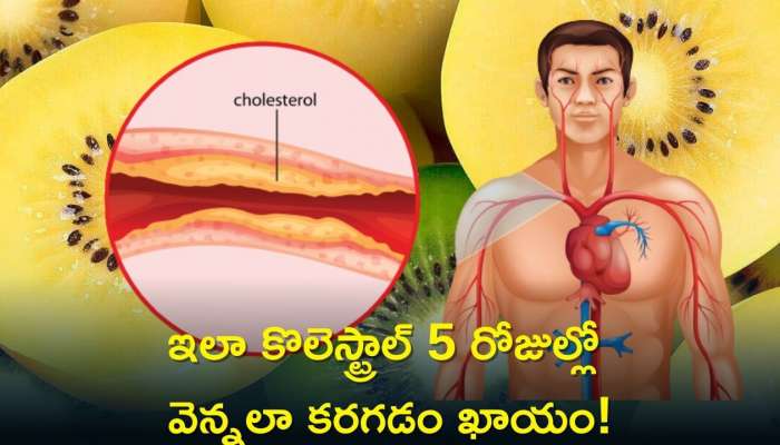 LDL Cholesterol: ఈ పండ్లు తింటే చాలు 5 రోజుల్లో చెడు కొలెస్ట్రాల్‌ వద్దన్నా ఇట్టే కరగడం ఖాయం