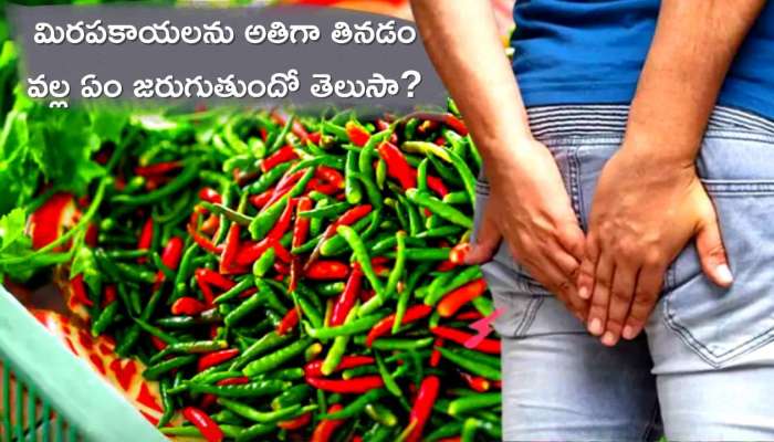 Green Chilli: మిరపకాయలను అతిగా తింటే అంతే సంగతి!