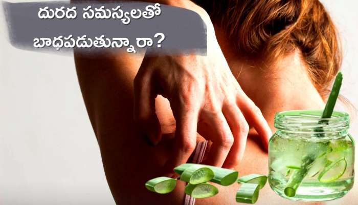  Itch Relief: చర్మంపై దురద సమస్యలతో బాధపడుతున్నారా? ఇలా 20 నిమిషాల్లో చెక్!