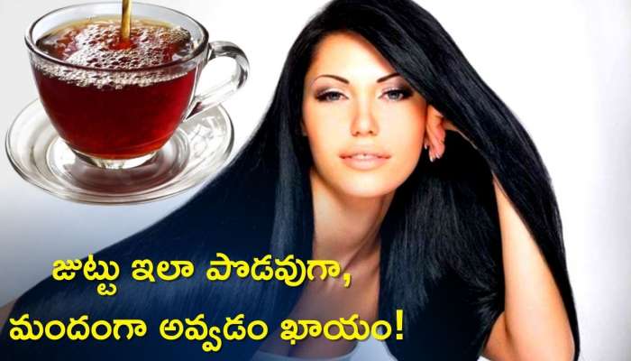 Black Tea For Hair: బ్లాక్ టీతో 10 రోజుల్లో జుట్టు పొడవుగా, మందంగా అవ్వడం ఖాయం!