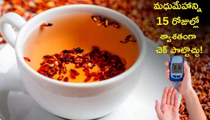 Brown Rice Tea: బ్రౌన్ రైస్ టీతో మధుమేహాన్ని 15 రోజుల్లో శ్వాశతంగా చెక్‌ పొట్టొచ్చు!