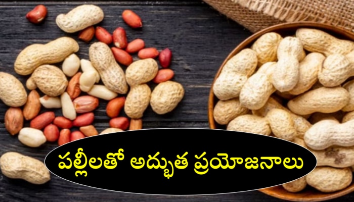 Peanuts Health Benefits: వేరుశెనగ పల్లీలు... ఆరోగ్యానికి ఎంతో మేలు..! 