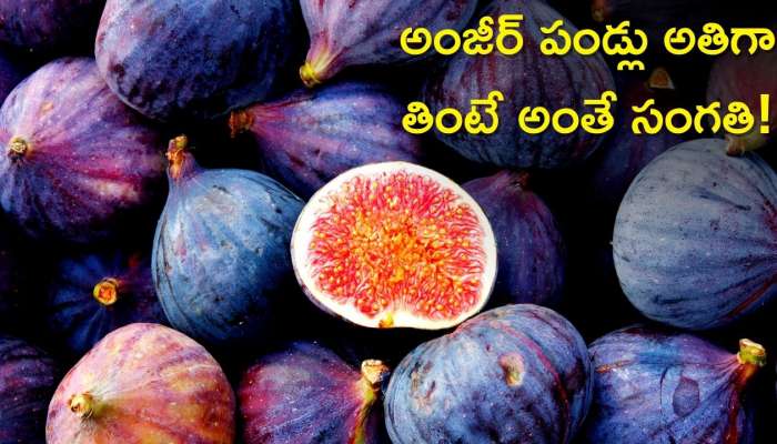 Figs Side Effects: అంజీర్‌ పండ్లు మంచివని అతిగా తింటే అంతే సంగతి, ఈ తీవ్ర వ్యాధులు తప్పవు!