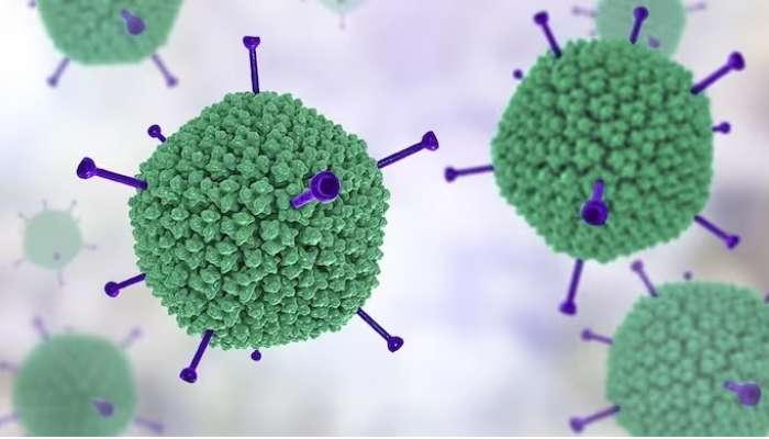 Adenovirus: కరోనా తరువాత మరో వైరస్, పశ్చిమ బెంగాల్ 36 మంది చిన్నారులు మృతి