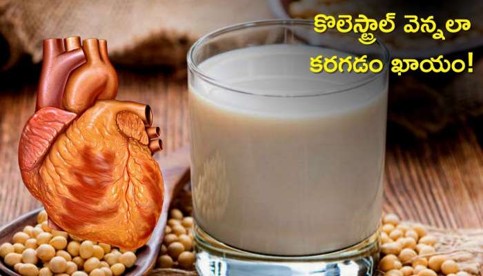 Soy Milk Benefits: ఈ పాలతో చెడు కొలెస్ట్రాల్ వెన్నలా కరగడం ఖాయం, నమ్మట్లేదా?  