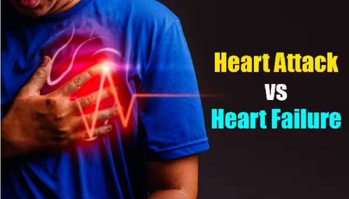 Heart Attack vs Heart Failure: గుండెపోటుకు గుండె విఫలానికి మధ్య తేడాలు, లక్షణాలు, కారణాలేంటి