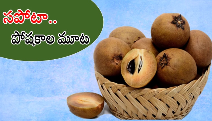 Benefits Of Sapota: సపోటా పండుతో షాకింగ్ బెనిఫిట్స్.. తెలిస్తే వదలరు..