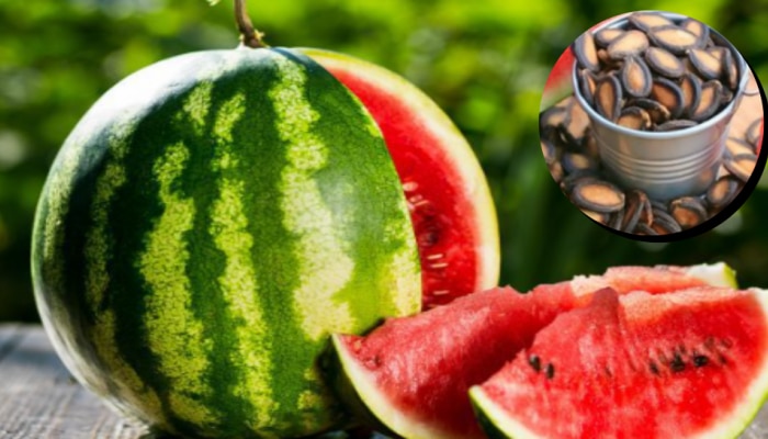 Watermelon Seeds Benefits: బాప్రే.. పుచ్చకాయ గింజలతో ఇన్ని ప్రయోజనాలా..? తెలిస్తే షాక్ అవుతారు