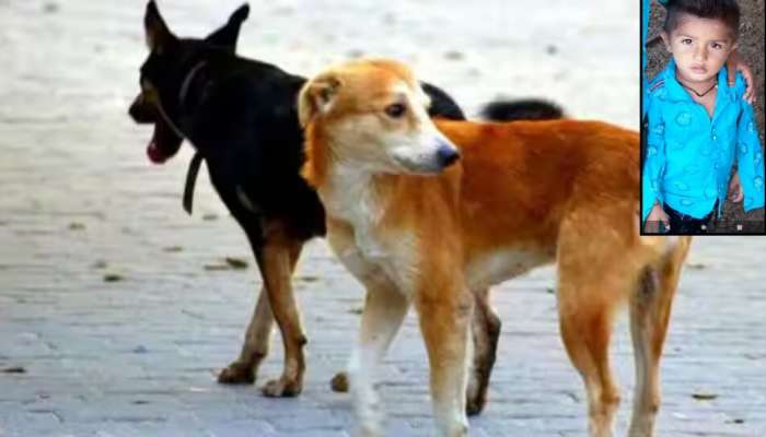 Dogs Attack on Boy: తెలంగాణలో దారుణం.. కుక్కల దాడిలో మరో బాలుడు మృతి