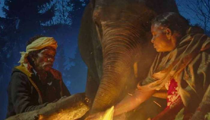  ‘The Elephant Whisperers’ on OTT: ఆస్కార్ గెలిచిన ఎలిఫెంట్ విస్పరర్స్ ఏ ఓటీటీలో చూడాలో తెలుసా?