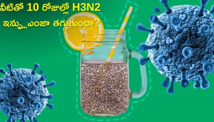 h3n2 Influenza Cases: వీటితో 10 రోజుల్లో H3N2 ఇన్ఫ్లుఎంజా తగ్గుతుందా?, ఈ ఆహారాలు తప్పనిసరి! 