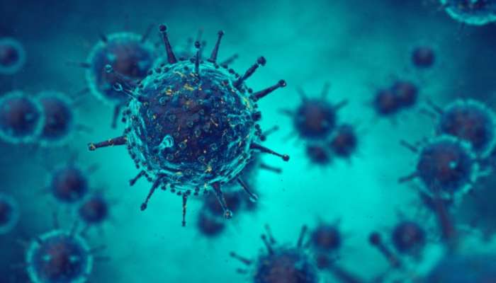 H3N2 Virus In India 2023: హెచ్‌3ఎన్‌2 ప్రభావం.. మార్చి 16 నుంచి 24 వరకు పాఠశాలలకు సెలవులు!