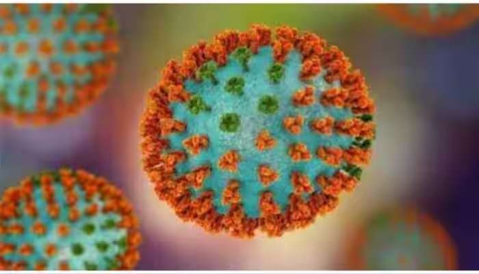 H3N2 Virus Alert: హెచ్3ఎన్2 వైరస్ కిడ్నీలపై దుష్ప్రభావం చూపిస్తోందా, వైద్యులు ఏమంటున్నారు