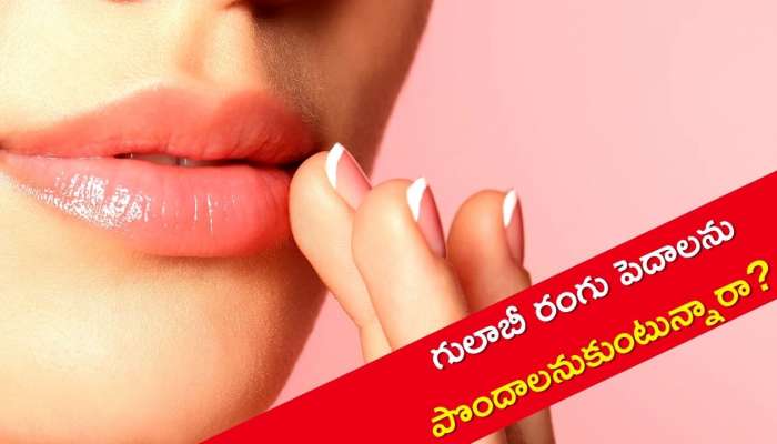 Get Pink Lips: 5 రోజుల్లో గులాబీ రంగు పెదాలను పొందాలనుకుంటున్నారా? ఇలా చేస్తే చాలు మీ సొంతం!