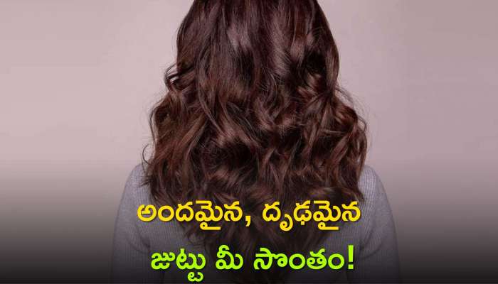  Thick Hair Tips: అందమైన, దృఢమైన జుట్టు ఇలా 7 రోజుల్లో మీ సొంతం! నమ్మట్లేదా?