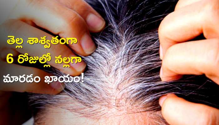 fcityin  Kuraiy Jogeshvari Adivasi Herbal Hair Oil 100 Ml For Women And  Men