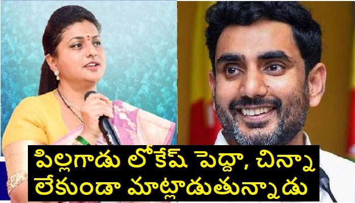 Roja Warns Nara Lokesh: పిల్లగాడు లోకేష్‌కి ఇదే నా వార్నింగ్