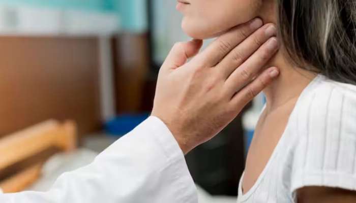 Thyroid Control Tips: థైరాయిడ్ సమస్యకు ఇదే సమాధానం, ఈ విత్తనాలు డైట్‌లో ఉంటే చాలు
