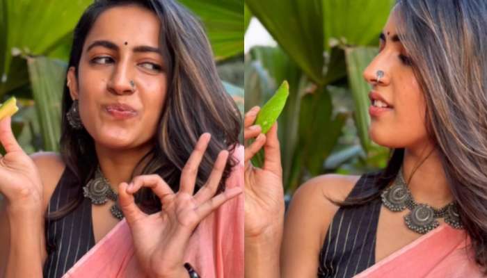 Niharika Konidela Pregnant: నువ్ ప్రెగ్నెంట్‌వా..? నిహారికపై నెటిజన్ల ప్రశ్నల వర్షం.. అలా చేయడంతో అనుమానాలు