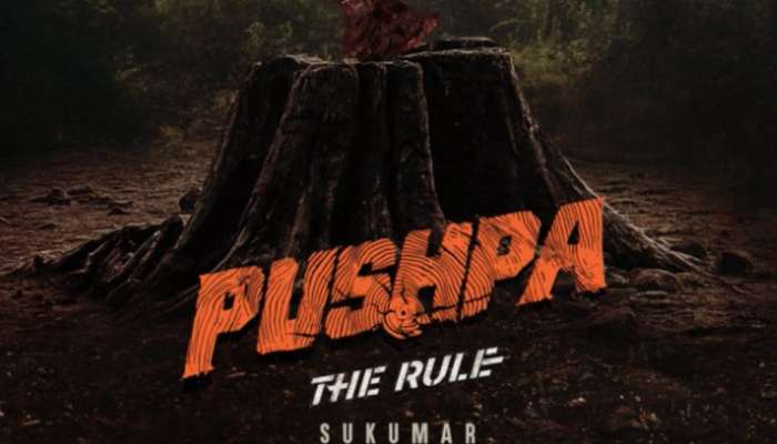 Pushpa The Rule Update : బన్నీ ఫ్యాన్స్‌కు గుడ్ న్యూస్.. పుష్ప అప్డేట్ ఎప్పుడంటే?
