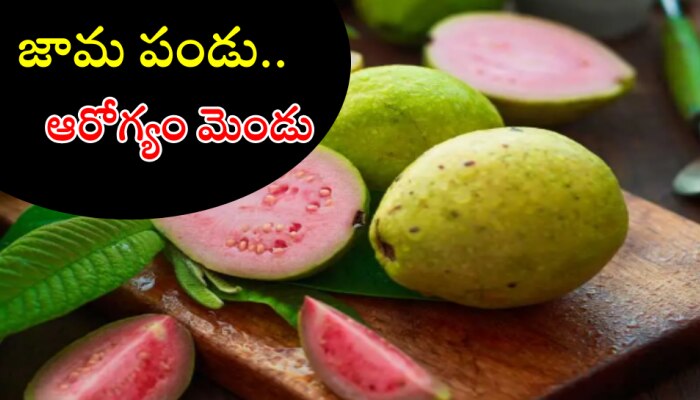 Guava Health Benefits: జామపండుతో బోలెడన్ని ప్రయోజనాలు.. తెలిస్తే ఆశ్చర్యపోతారు!