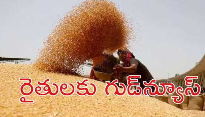 Grain procurement: తెలంగాణ రైతులకు గుడ్‌న్యూస్.. రేపటి నుంచే ధాన్యం కొనుగోళ్లు ప్రారంభం
