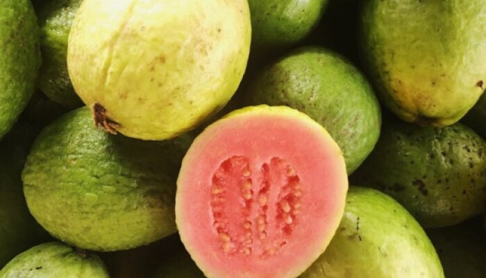 Guava Side Effects: ఈ వ్యాధులు ఉన్నవారు జామ పండును ఎక్కువగా తినకూడదు?