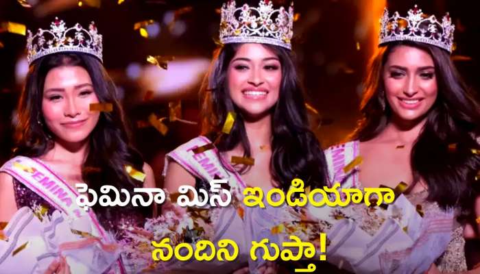  Miss Femina 2023: ఫెమినా మిస్‌ ఇండియాగా నందిని గుప్తా, గెలుపుకోసం ఎంత కష్టపడిందో తెలుసా?