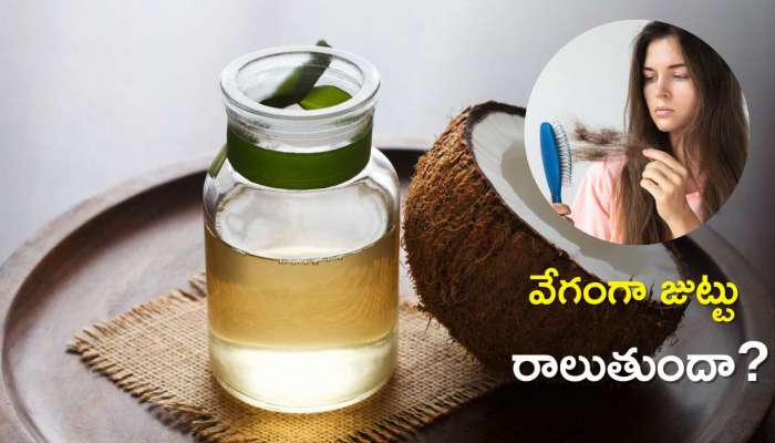 Hair Fall Control Oil: వేగంగా జుట్టు రాలుతుందా? ఈ ఆయిల్‌ కేవలం 5 రోజుల్లో చెక్‌ పెట్టొచ్చు! 