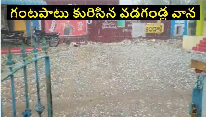 Hail Rain in Telangana: ఉరుములు, మెరుపులతో వడగళ్ల వాన.. రైతుల కంట నీరు