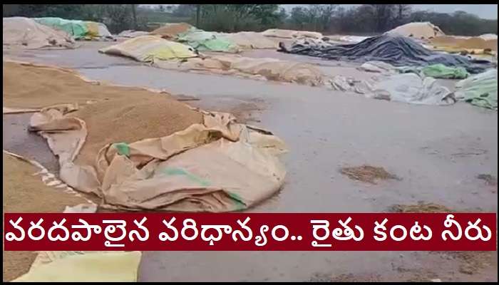 Heavy Rains in Telangana: తెలంగాణలో భారీ వర్షాలు.. లబోదిబోమంటున్న రైతులు