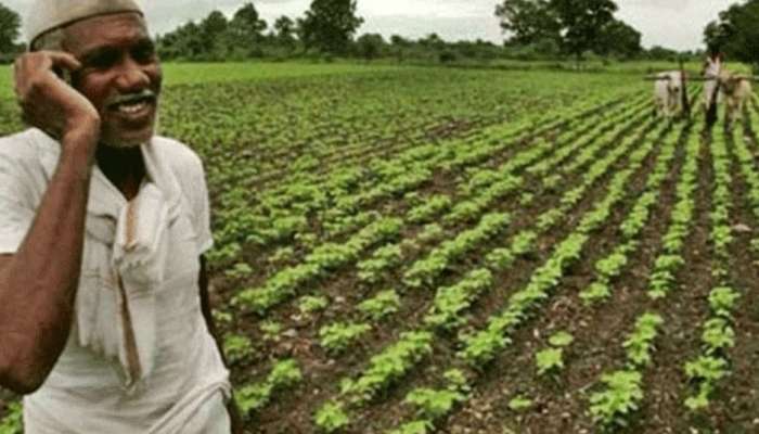 Millet Cultivation: ఈ రాష్ట్ర రైతులకు గుడ్‌న్యూస్.. 100 శాతం సబ్సిడీ..!