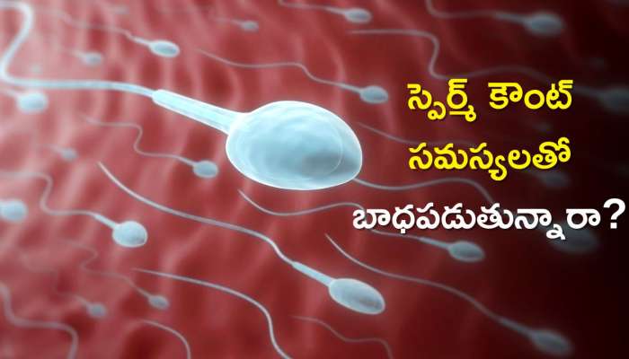  How To Increase Sperm Count: స్పెర్మ్ కౌంట్‌ సమస్యలతో బాధపడుతున్నారా? ఇలా ఎలాంటి ఖర్చు లేకుండా 11 రోజుల్లో చెక్‌!