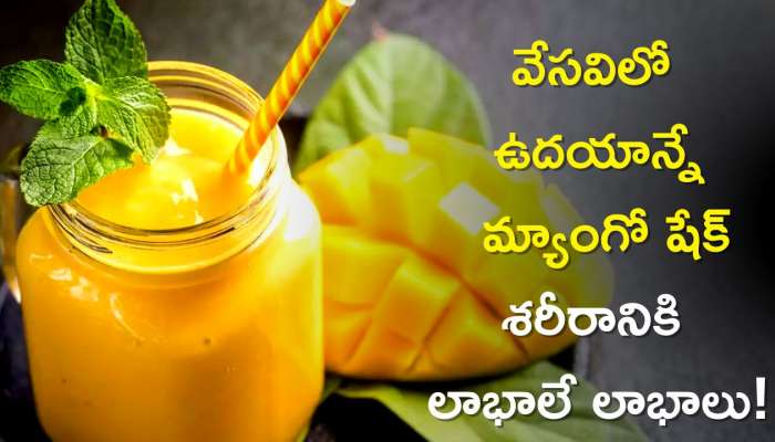 Mango Shake Recipe: వేసవిలో మ్యాంగో షేక్ తాగితే శరీరానికి ఎన్ని రకాల ప్రయోజనాలు కలుగుతాయో తెలుసా?