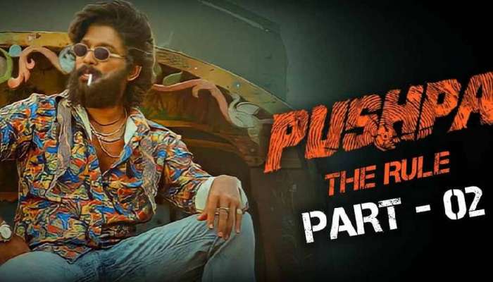 Pushpa 2 Issues: ఐదు రోజుల ఐటీ రైడ్స్.. ఎట్టకేలకు క్లియర్ అయిన పుష్ప2 సమస్యలు!