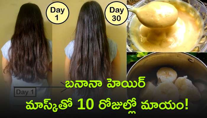  Remedies For Hair Fall: జుట్టు సమస్యలు ఏవైనా.. బనానా హెయిర్ మాస్క్‌తో 10 రోజుల్లో మాయం!
