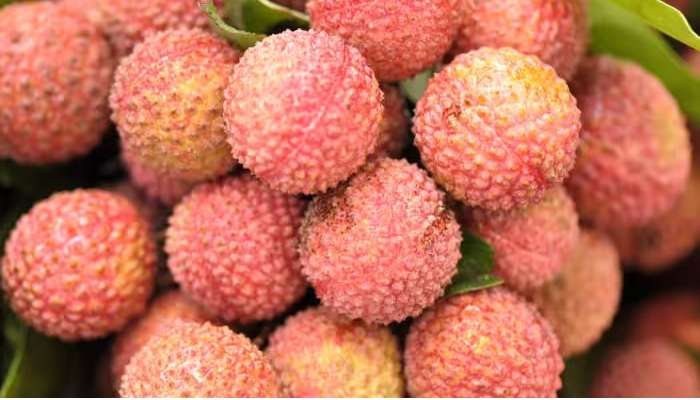 Litchi Benefits: డైట్‌లో ఈ ఒక్క సమ్మర్ ఫ్రూట్ ఉంటే చాలు, జీవక్రియ మెరుగుపడి అన్ని సమస్యలు దూరం