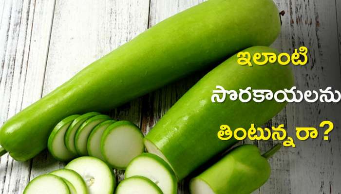 Bottle Gourd: ఇలాంటి సొరకాయలను తింటున్నరా? ప్రమాదమే, ఎందుకో తెలుసా?