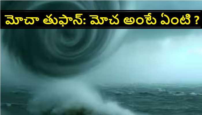 Cyclone Mocha Latest News: ఏపీ, తెలంగాణపై మోచా తుఫాన్ ప్రభావం ఉంటుందా ?