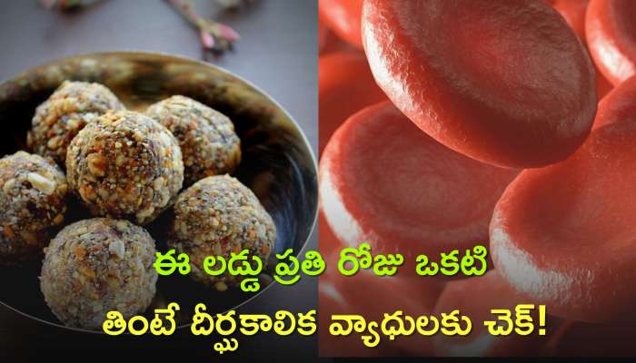 Khajur Dry Fruit Laddu: ఖర్జూర డ్రై ఫ్రూట్స్‌ లడ్డు ప్రతి రోజు ఒకటి తింటే దీర్ఘకాలిక వ్యాధులకు చెక్‌!