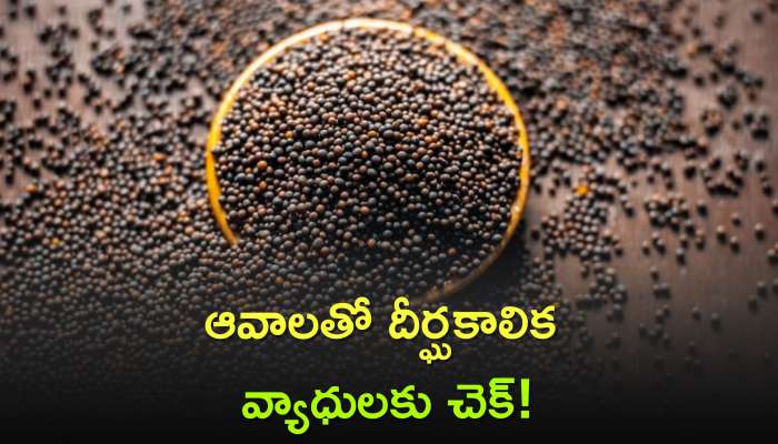 Mustard Seeds Benefits: ఆవాలతో దీర్ఘకాలిక వ్యాధులకు చెక్, మీరెప్పుడైనా ఇలా వినియోగించారా వాటిని?