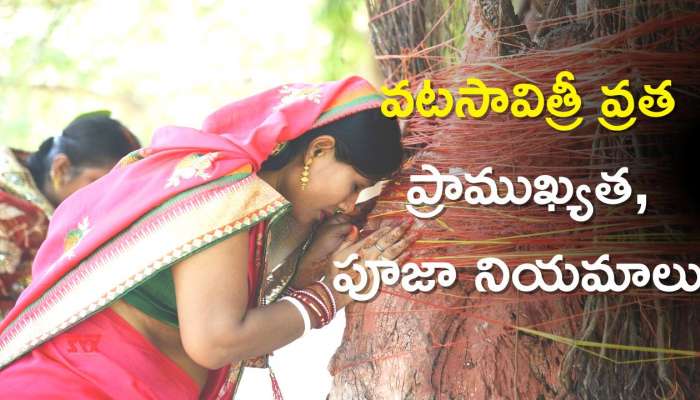  Vat Savitri Vrat 2023: వటసావిత్రీ వ్రత ప్రాముఖ్యత, పూజా నియమాలు, ఆచరించడం వల్ల కలిగే లాభాలు!