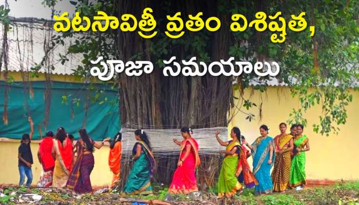 Vat Savitri Vrat 2023: వటసావిత్రీ వ్రతం విశిష్టత, పూజా సమయాలు, శుభ ముహూర్తాలు!